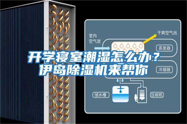 開(kāi)學(xué)寢室潮濕怎么辦？伊島除濕機來(lái)幫你