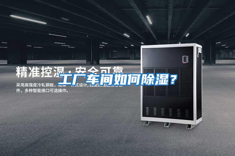 工廠(chǎng)車(chē)間如何除濕？