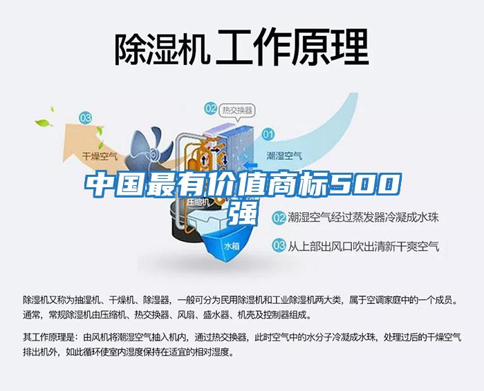 中國最有價(jià)值商標500強