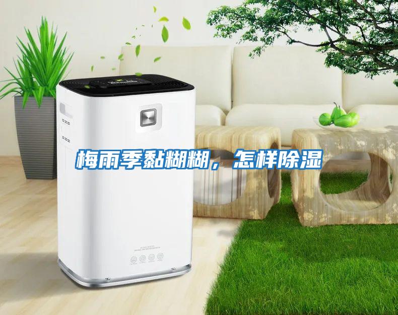 梅雨季黏糊糊，怎樣除濕