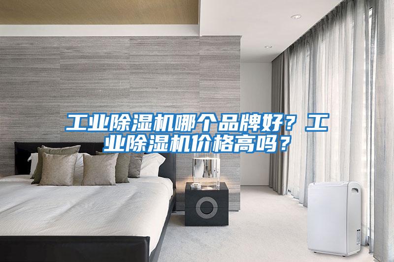 工業(yè)除濕機哪個(gè)品牌好？工業(yè)除濕機價(jià)格高嗎？