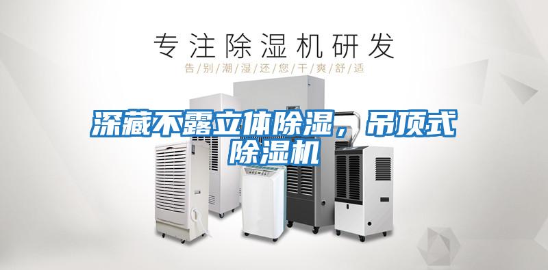 深藏不露立體除濕，吊頂式除濕機