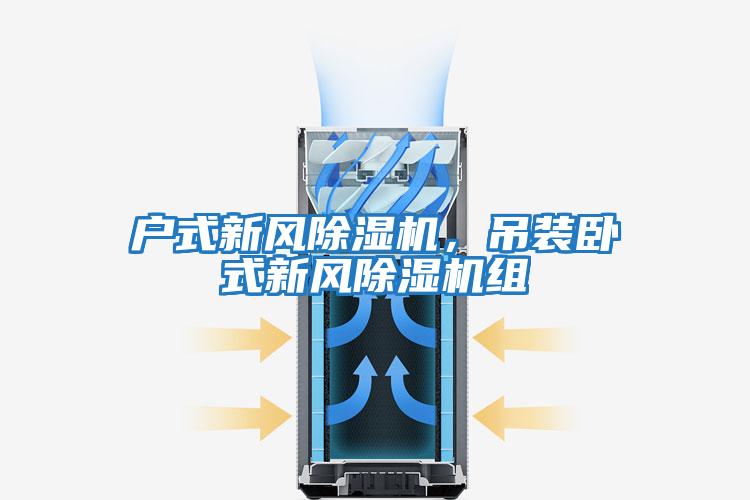 戶(hù)式新風(fēng)除濕機，吊裝臥式新風(fēng)除濕機組