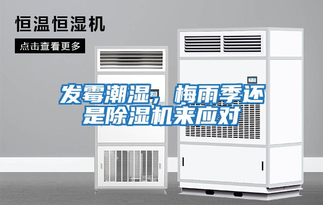 發(fā)霉潮濕，梅雨季還是除濕機來(lái)應對