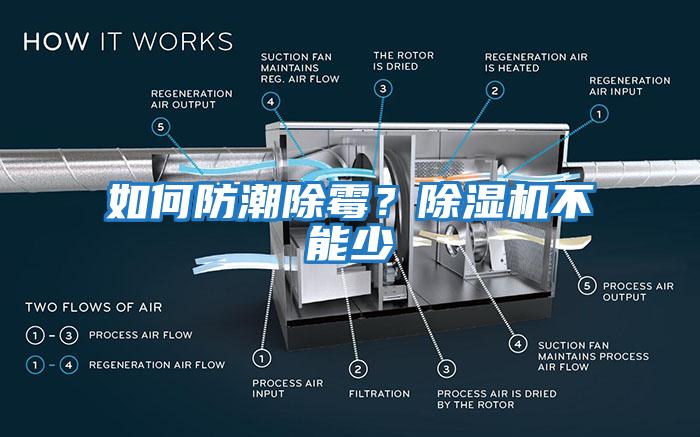 如何防潮除霉？除濕機不能少