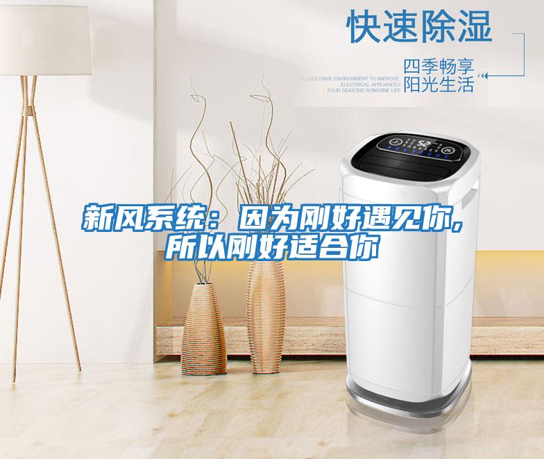 新風(fēng)系統：因為剛好遇見(jiàn)你,所以剛好適合你