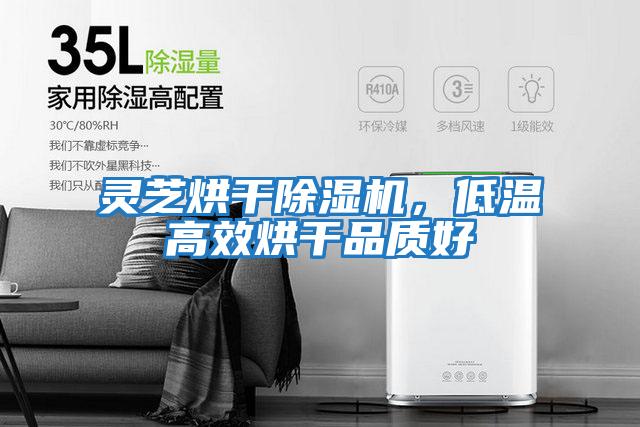 靈芝烘干除濕機，低溫高效烘干品質(zhì)好