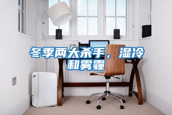 冬季兩大殺手，濕冷和霧霾