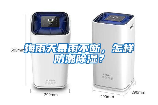 梅雨天暴雨不斷，怎樣防潮除濕？