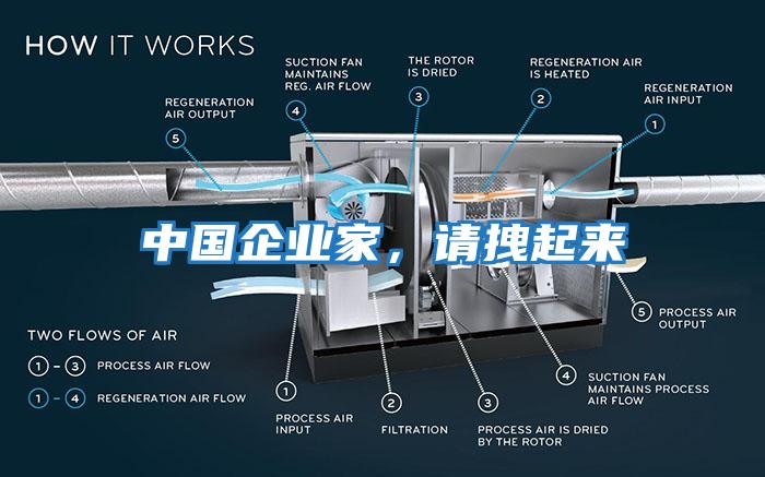 中國企業(yè)家，請拽起來(lái)