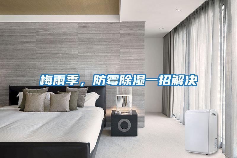 梅雨季，防霉除濕一招解決