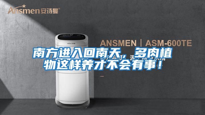 南方進(jìn)入回南天，多肉植物這樣養才不會(huì )有事！