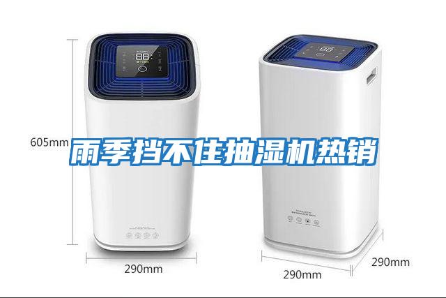 雨季擋不住抽濕機熱銷(xiāo)