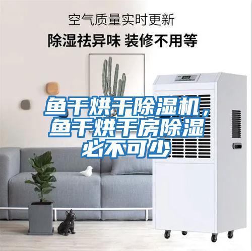 魚(yú)干烘干除濕機，魚(yú)干烘干房除濕必不可少