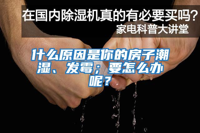 什么原因是你的房子潮濕、發(fā)霉；要怎么辦呢？