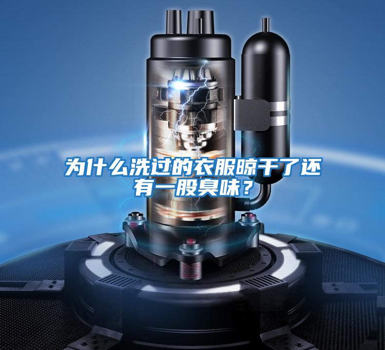 為什么洗過(guò)的衣服晾干了還有一股臭味？