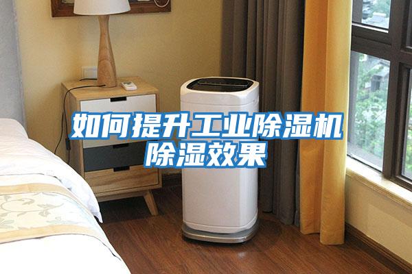 如何提升工業(yè)除濕機除濕效果