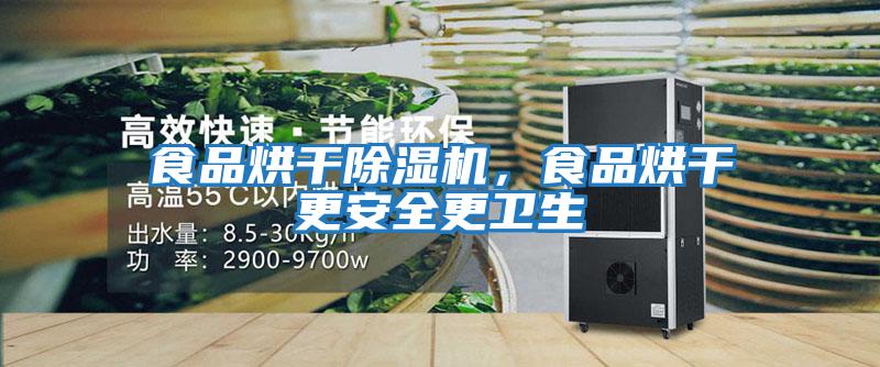 食品烘干除濕機，食品烘干更安全更衛生