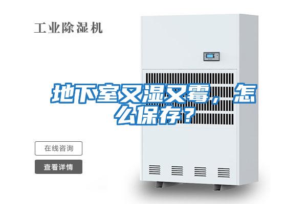 地下室又濕又霉，怎么保存？