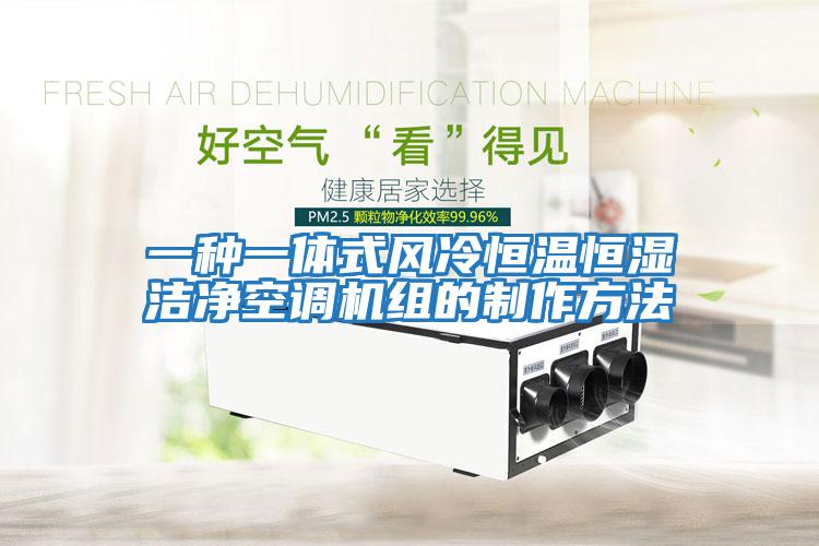 一種一體式風(fēng)冷恒溫恒濕潔凈空調機組的制作方法