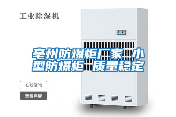 亳州防爆柜廠(chǎng)家 小型防爆柜 質(zhì)量穩定