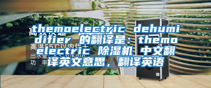 themoelectric dehumidifier 的翻譯是：themoelectric 除濕機 中文翻譯英文意思，翻譯英語(yǔ)