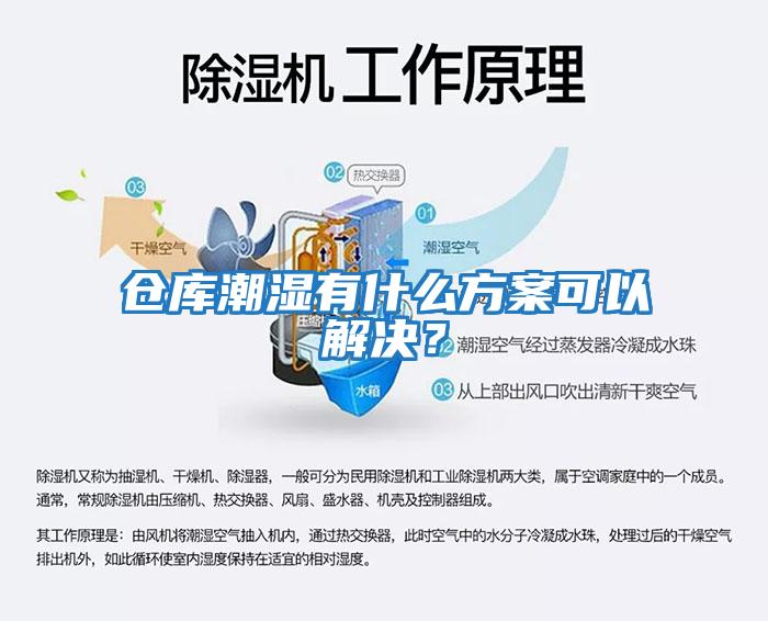 倉庫潮濕有什么方案可以解決？