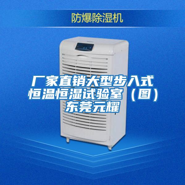 廠(chǎng)家直銷(xiāo)大型步入式恒溫恒濕試驗室（圖）東莞元耀