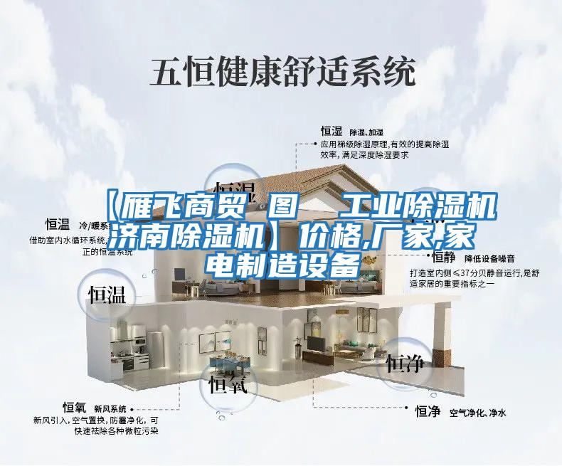 【雁飛商貿 圖  工業(yè)除濕機 濟南除濕機】?jì)r(jià)格,廠(chǎng)家,家電制造設備