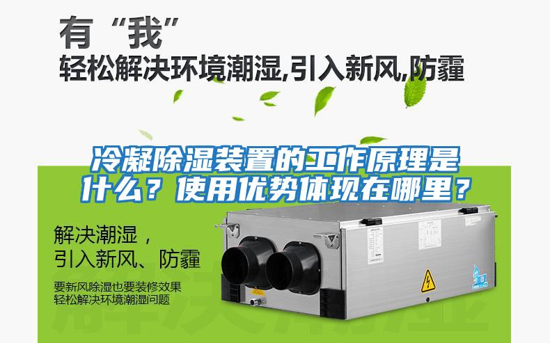 冷凝除濕裝置的工作原理是什么？使用優(yōu)勢體現在哪里？