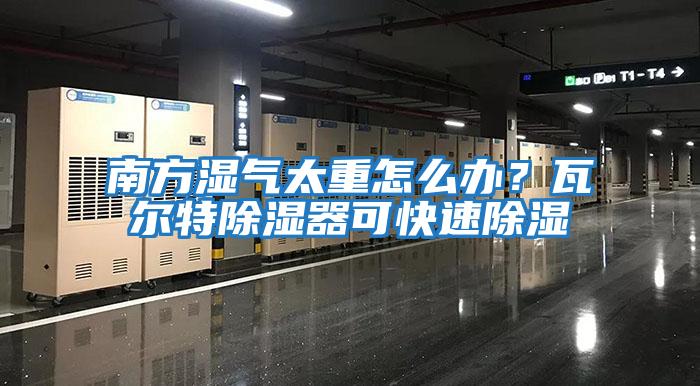 南方濕氣太重怎么辦？瓦爾特除濕器可快速除濕