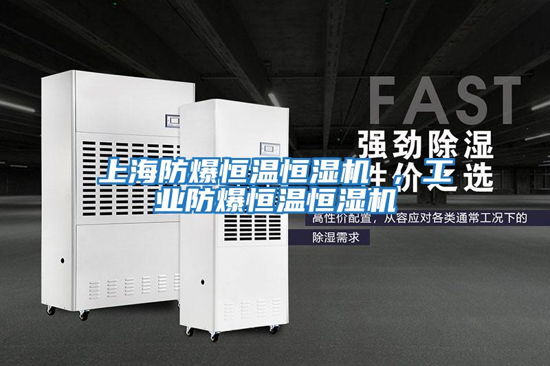 上海防爆恒溫恒濕機 ，工業(yè)防爆恒溫恒濕機