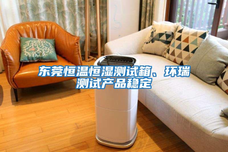 東莞恒溫恒濕測試箱、環(huán)瑞測試產(chǎn)品穩定
