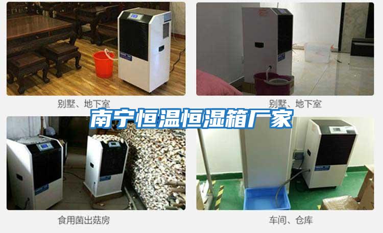 南寧恒溫恒濕箱廠(chǎng)家
