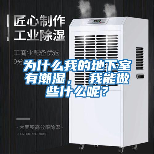 為什么我的地下室有潮濕， 我能做些什么呢？
