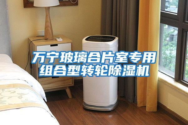萬(wàn)寧玻璃合片室專(zhuān)用組合型轉輪除濕機