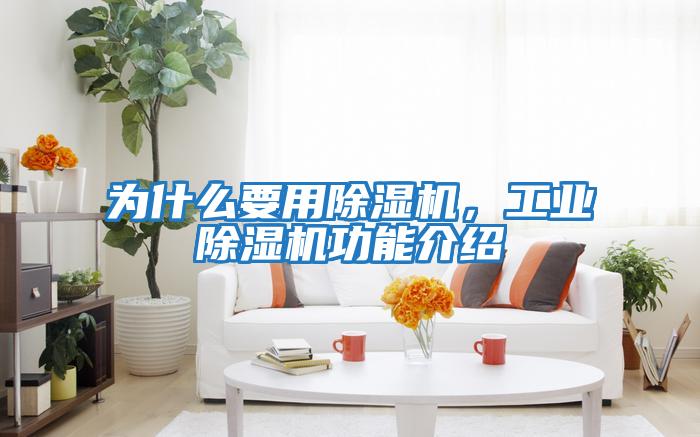 為什么要用除濕機，工業(yè)除濕機功能介紹