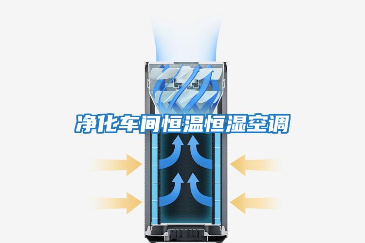 凈化車(chē)間恒溫恒濕空調