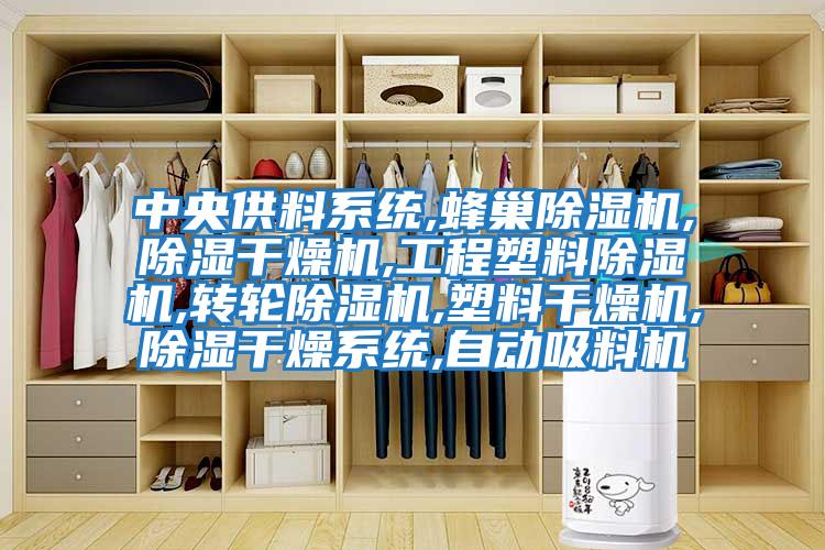 中央供料系統,蜂巢除濕機,除濕干燥機,工程塑料除濕機,轉輪除濕機,塑料干燥機,除濕干燥系統,自動(dòng)吸料機