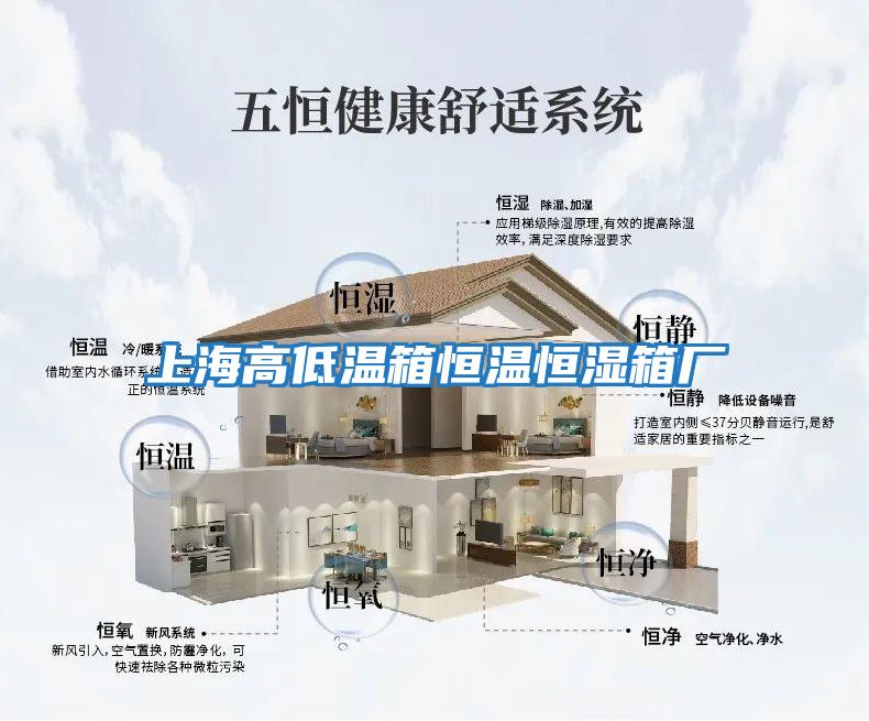 上海高低溫箱恒溫恒濕箱廠(chǎng)
