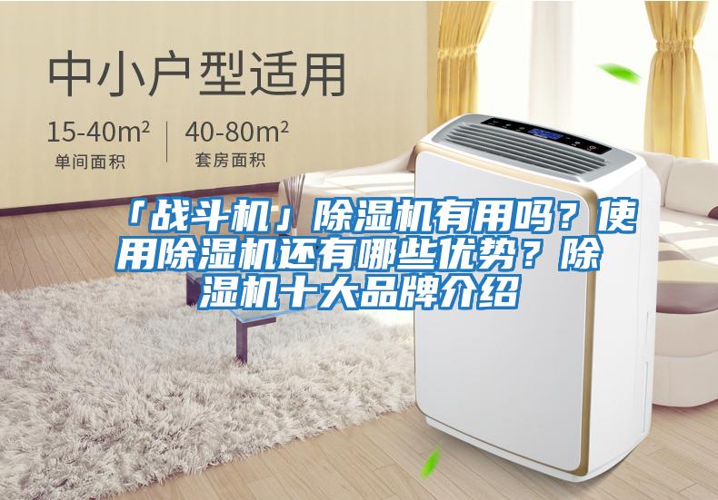 「戰斗機」除濕機有用嗎？使用除濕機還有哪些優(yōu)勢？除濕機十大品牌介紹