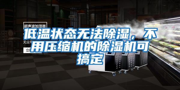 低溫狀態(tài)無(wú)法除濕，不用壓縮機的除濕機可搞定