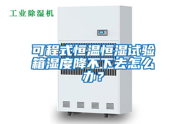 可程式恒溫恒濕試驗箱濕度降不下去怎么辦？