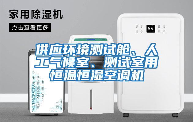供應環(huán)境測試艙、人工氣候室、測試室用恒溫恒濕空調機