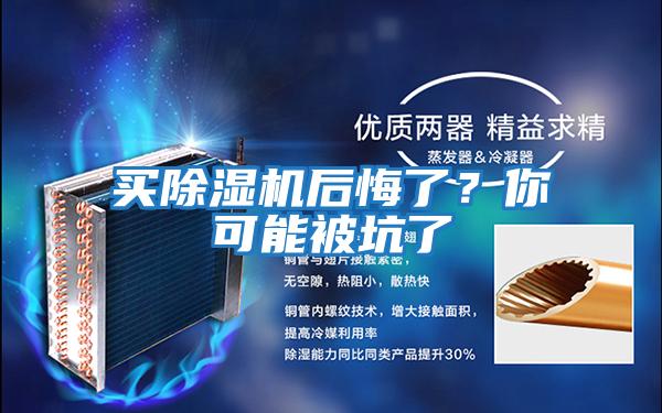 買(mǎi)除濕機后悔了？你可能被坑了
