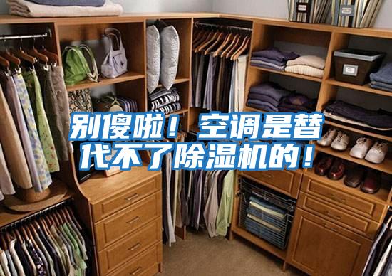 別傻啦！空調是替代不了除濕機的！
