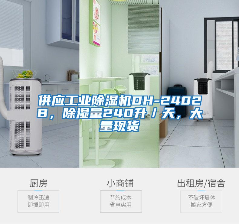 供應工業(yè)除濕機DH-2402B，除濕量240升／天，大量現貨