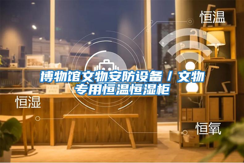 博物館文物安防設備／文物專(zhuān)用恒溫恒濕柜