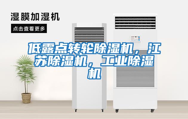 低露點(diǎn)轉輪除濕機，江蘇除濕機，工業(yè)除濕機