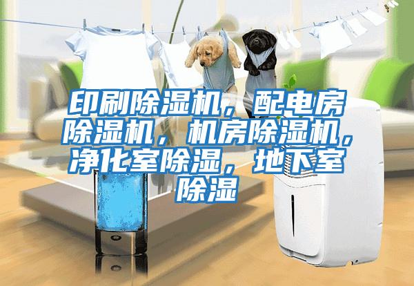 印刷除濕機，配電房除濕機，機房除濕機，凈化室除濕，地下室除濕
